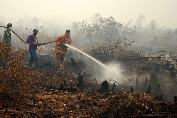 Satu Titik Api di Riau Terdeteksi, Ini Lokasinya 
