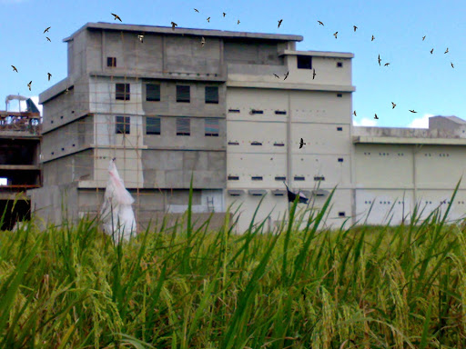 Pemkab Siak: Usaha Penangkaran Burung Walet Wajib Miliki Izin