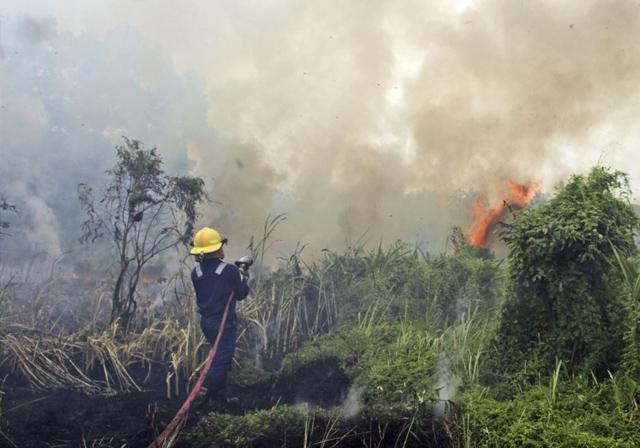 Riau Harus Kembali Bebas Asap