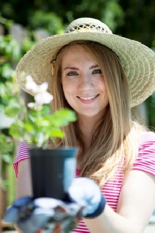 Tanpa Bahan Kimia, Ini 5 Tanaman Pengusir Nyamuk