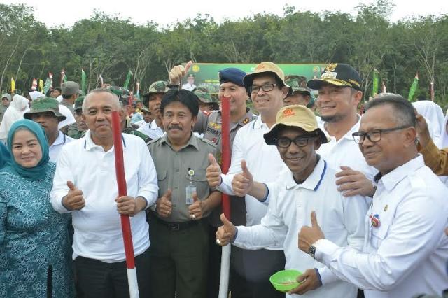 Gubernur Riau: Saatnya Kita Ekspor Jagung