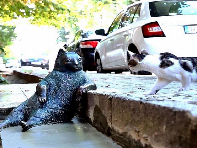 Wow Patung Kucing di Jepang Ternyata yang Buat Orang Turki