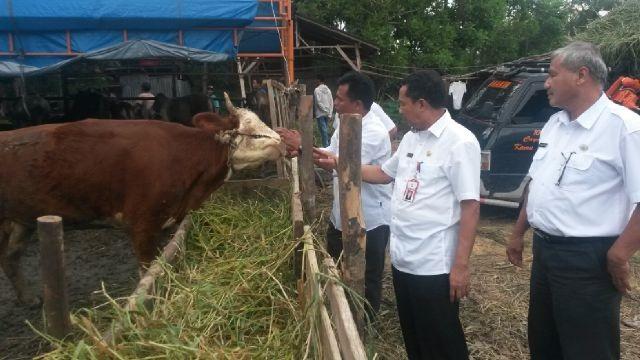 Peserta Kurban Diminta Hubungi Petugas Disnak Untuk Cek Kesehatan Hewan