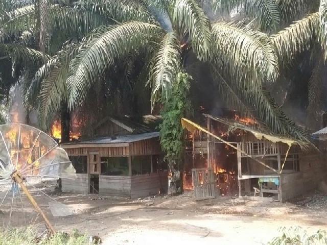 10 Rumah Dibakar Massa