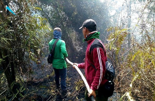 Sudah 5 Hari, Kebakaran di Giam Siak Kecil Belum Dapat Dipadamkan