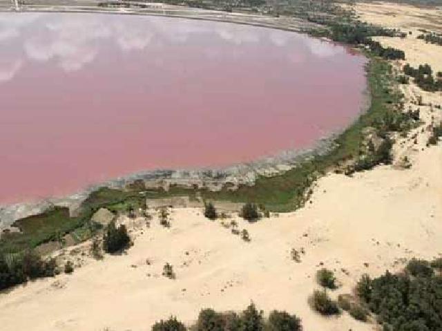 Keindahan Danau Pink Australia