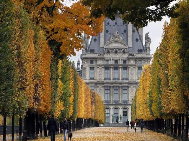Musim Gugur Jadi Daya Tarik Bagi Negara Paris