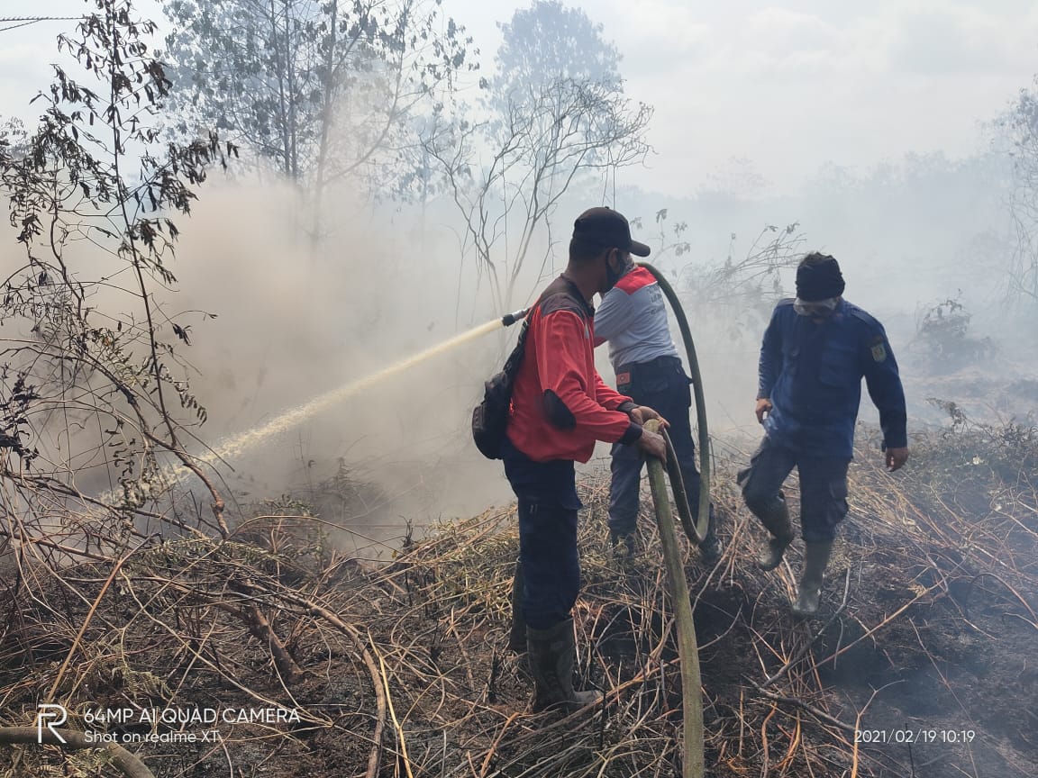 Api Lahap Kebun Sawit di Kampung Merempan Hilir Siak, Tim Gabungan Diturunkan