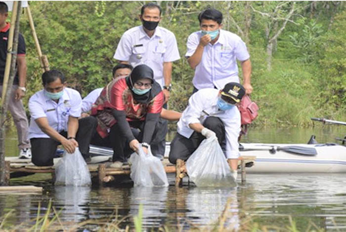 Faperta UIR Tebar 10 Ribu Bibit Ikan di Danau Tiga Mata Air Kuansing