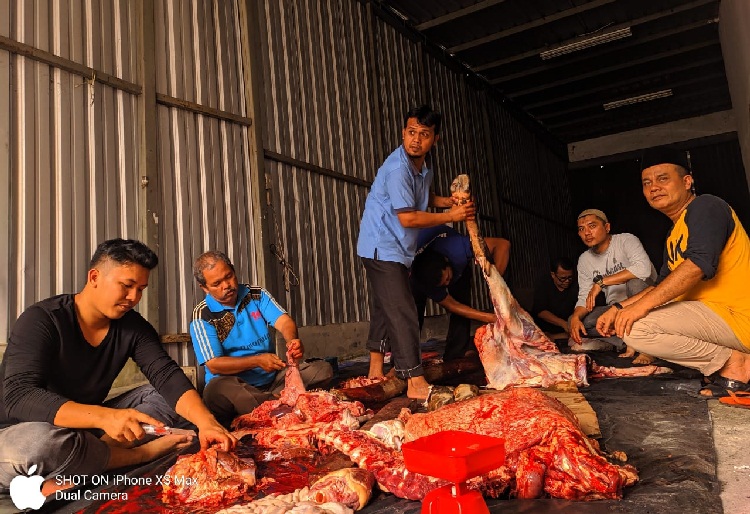 Memaknai Idul Adha, Haluan Riau Bagikan 100 Kantong Daging Kurban