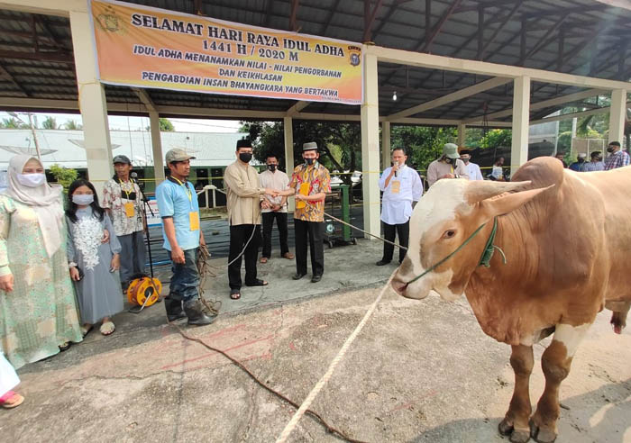 Polres Inhu Sembelih 15 Ekor Sapi Kurban