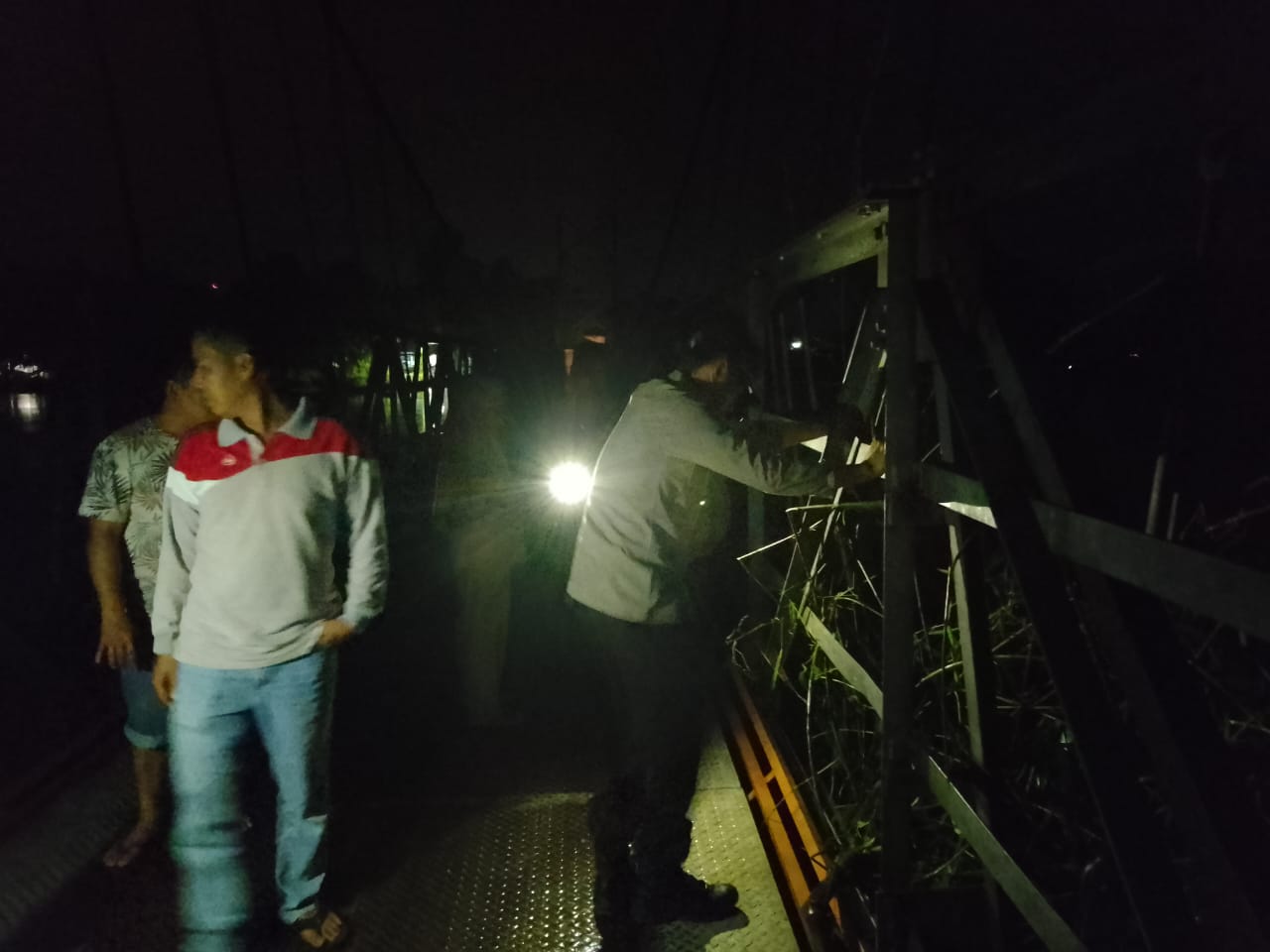 Terbawa Arus Sungai Kampar, Rumpun Bambu Tersangkut di Jembatan Gantung