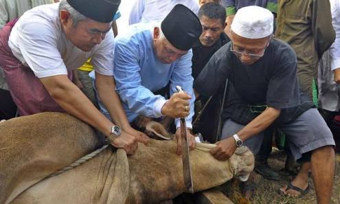 Ini Lima Adab Menyembelih Hewan Kurban Tuntunan Majelis Tarjih Muhamnadiyah