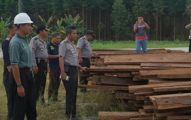 Polisi Temukan 40 Ton Kayu Tak Bertuan