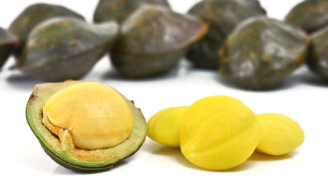 Inilah Trik Rahasia Memasak Jengkol Agar Tak Berbau