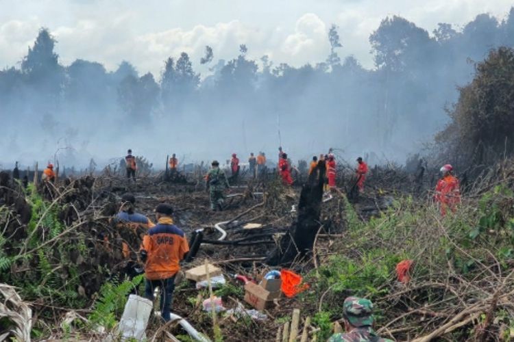 Karhutla Mulai Muncul di Riau, BPBD Ingatkan Warga Hati-hati Gunakan Api