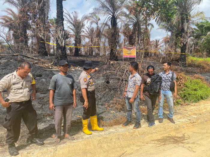 8 Hektare Kebun Sawit Terbakar di Rumbai Pesisir Pekanbaru