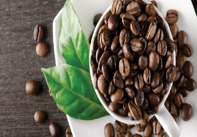 17 Specialty Coffee Siap  Jadi Primadona di SCAA Expo