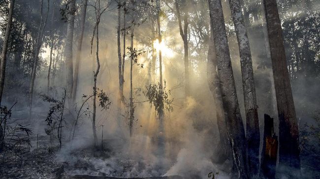 Riau, Sumatera Utara dan Jambi Berpotensi Karhutla Bulan Depan