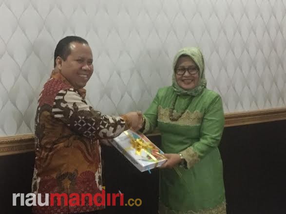 Meranti Kabupaten Pertama di Riau Sampaikan Usulan Validasi Jabatan, BKN Apresiasi Bupati Meranti