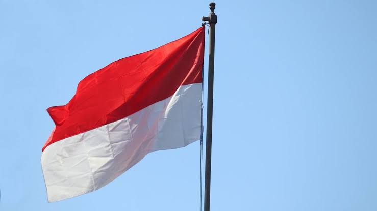 Gara-gara Covid-19, 3 Negara Ini Pernah Larang Warganya ke Indonesia