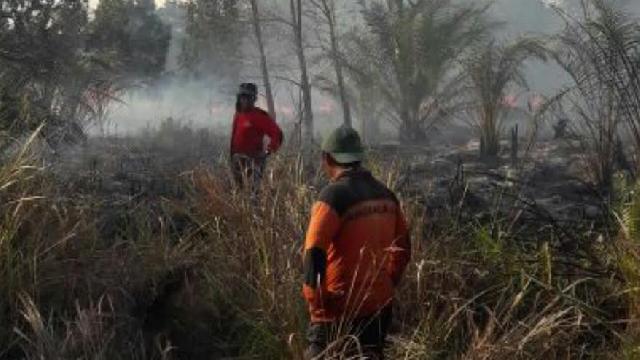 Warga Pekanbaru Ditetapkan Tersangka Kebakaran Lahan di Desa Karya Indah