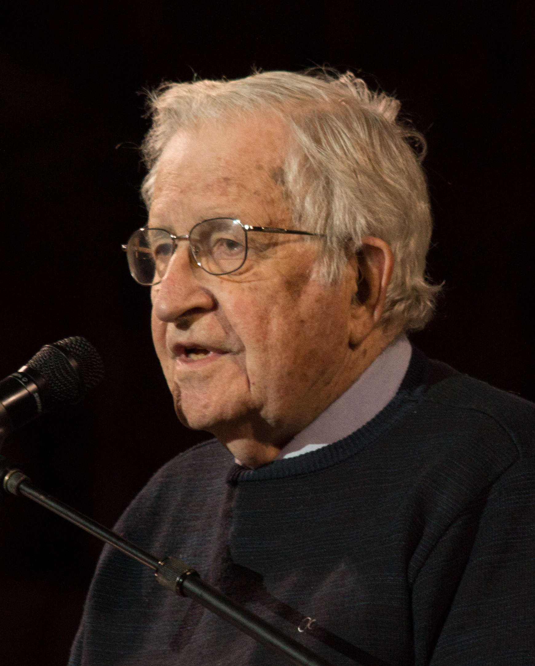 Naom Chomsky Dukung Veronica Koman: Dia Berani dan Berintegritas Membela HAM di Papua Barat