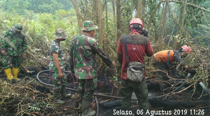 Cegah Kebakaran, TNI Terus Lakukan Mitigasi di Sejumlah Daerah Rawah di Riau