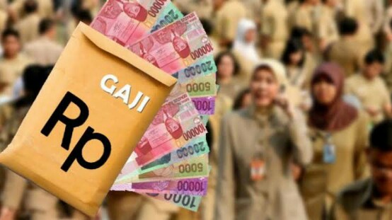 Dipertanyakan, 5 Bulan Gaji Bidan di Inhu Tak Kunjung Dibayar