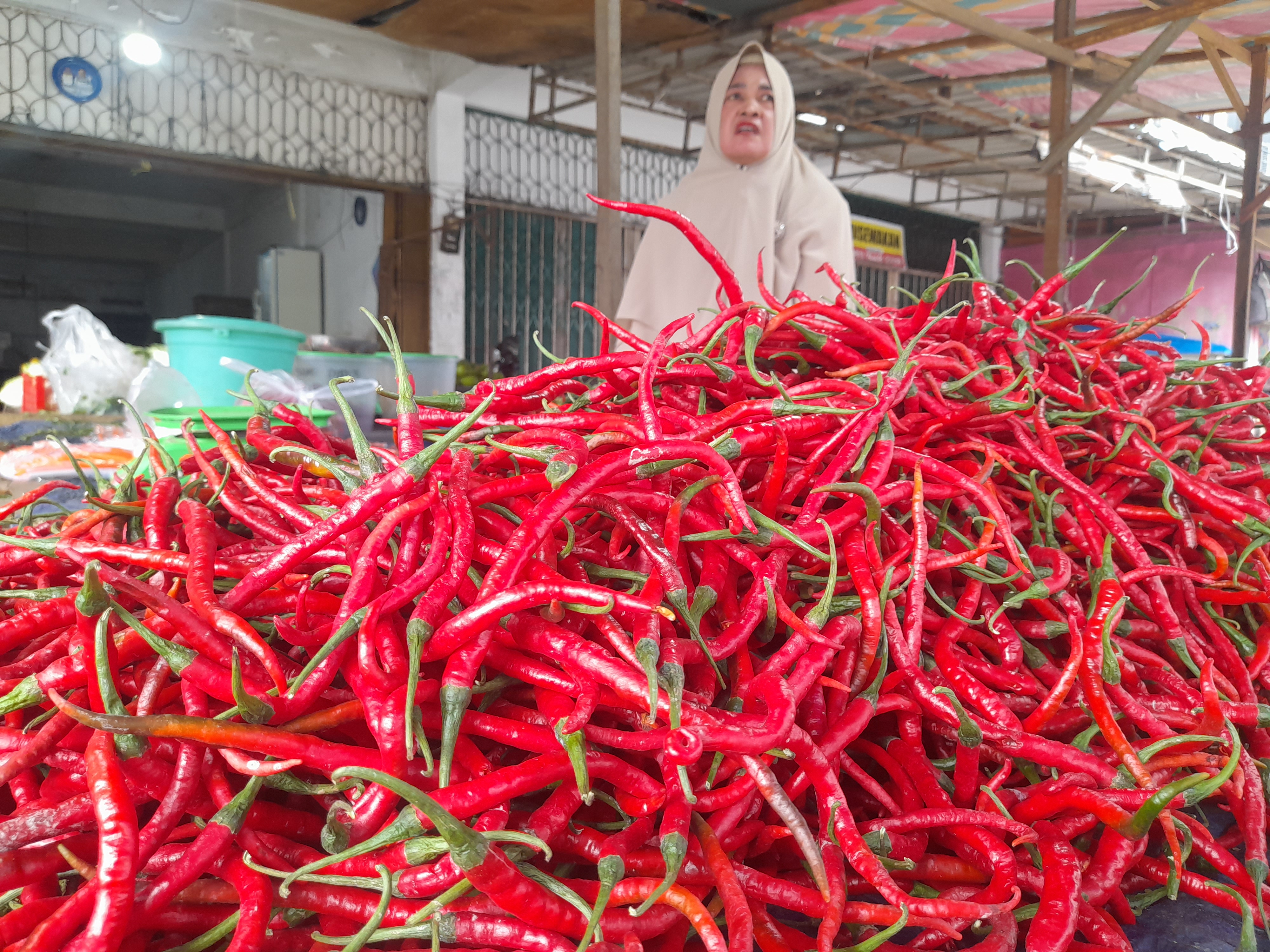 Sekdako Akui Harga Bahan Melonjak di Pekanbaru