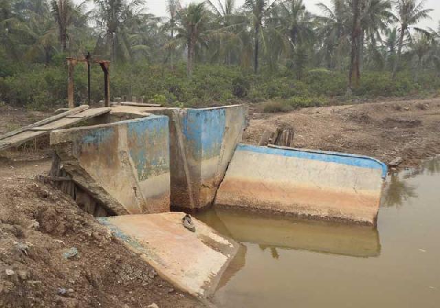 Pemerintah Diharapkan tidak Lepas Tangan