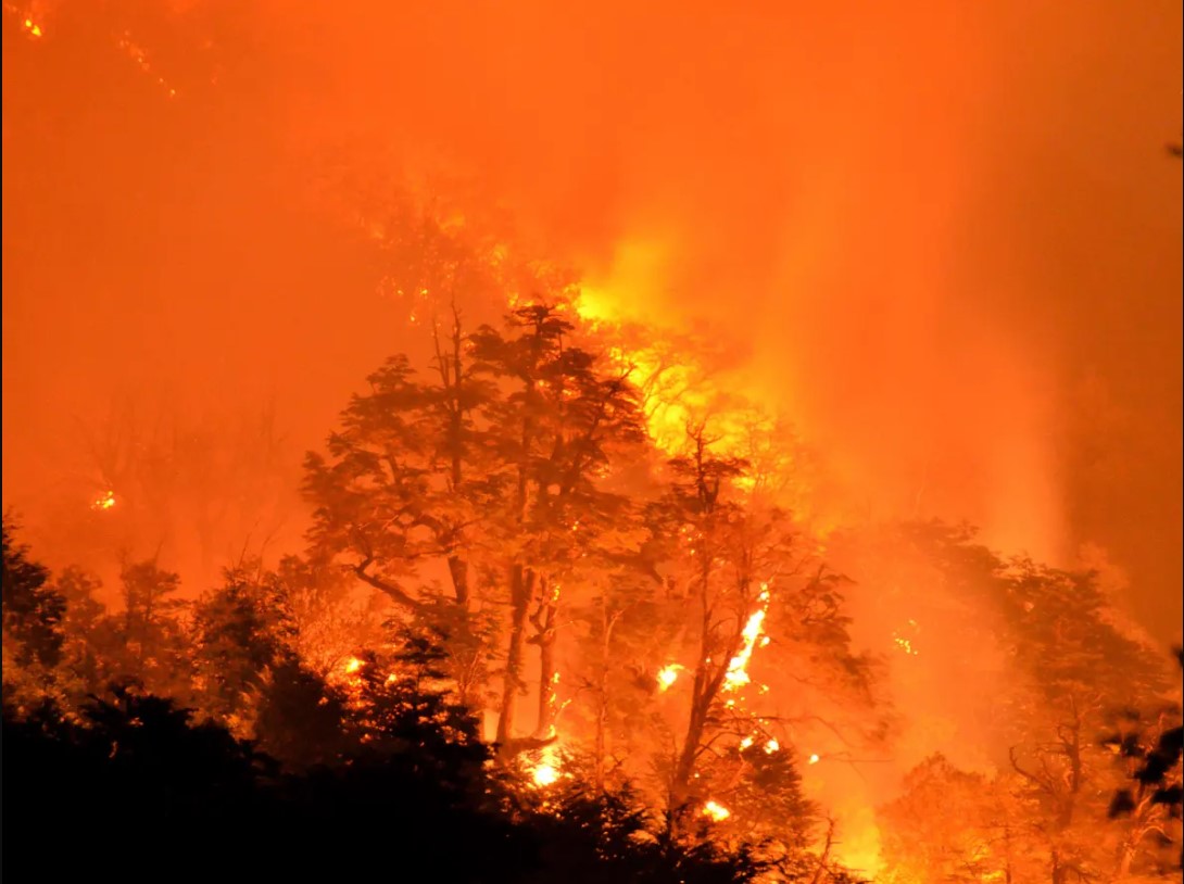 Kebakaran Hutan Hebat di Chile, 23 Dilaporkan Meninggal