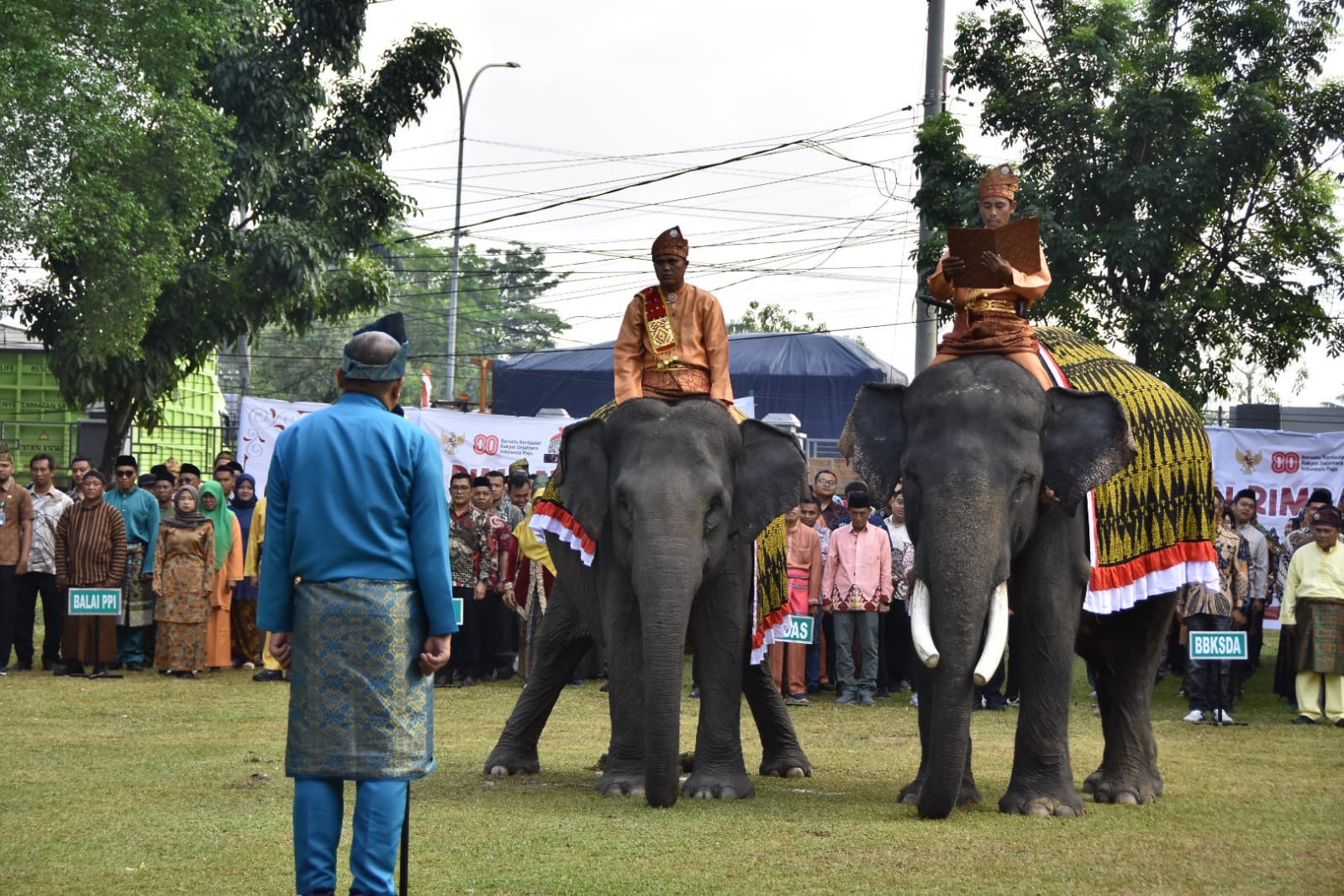 Gajah Jopi dan Vera Jadi Peserta Upacara Kemerdekaan RI di BBKSDA Riau