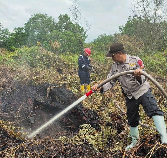 Petugas Gabungan Padamkan Karhutla di Payung Sekaki, 2 Hektare Lahan Terbakar