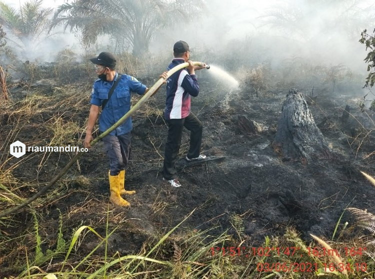 Karhutla di Kampung Temusai Bungarya Siak