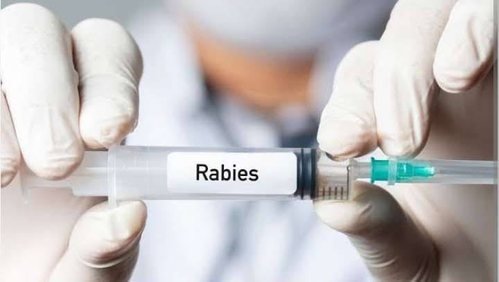 1.586 Ekor Hewan Tercatat Ikuti Vaksin Rabies di Riau
