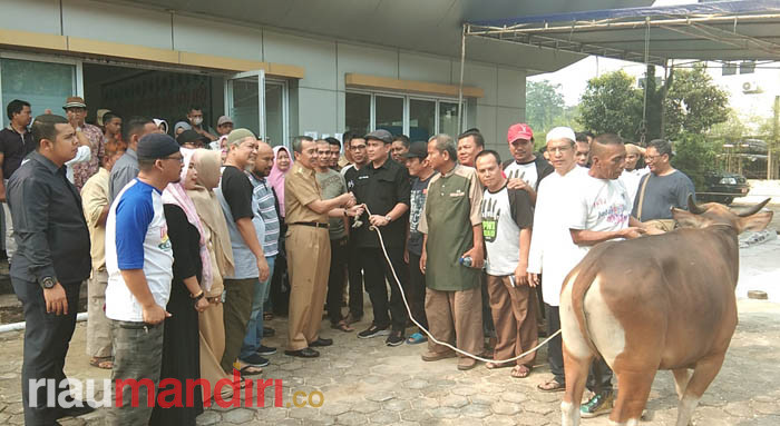 Serahkan Sapi Kurban ke PWI Riau, Gubri Ajak Teladani Pengorbanan Nabi Ibrahim dan Ismail