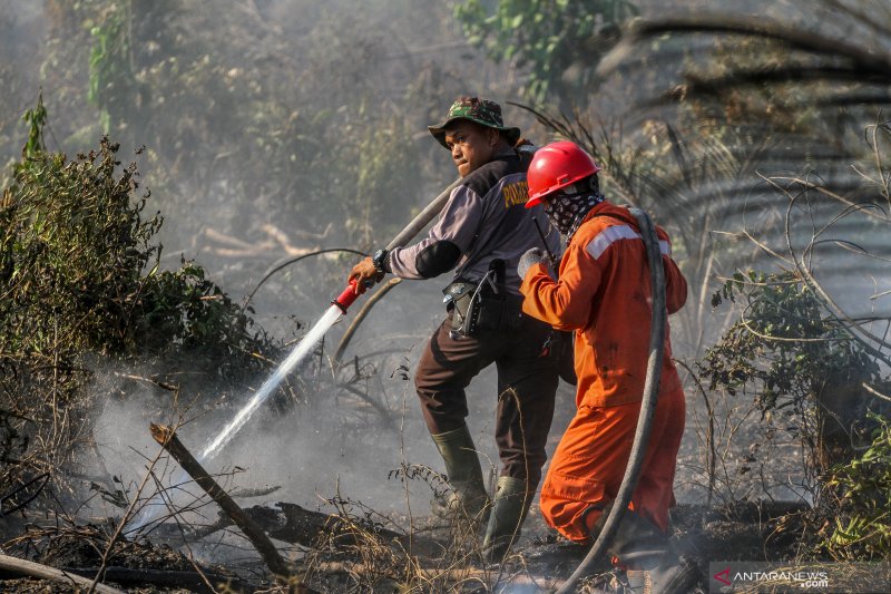 Luas Lahan Terbakar di Perbatasan Pekanbaru - Kampar Capai 2 Hektare