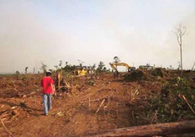 PT Rungu Dilaporkan ke Polisi