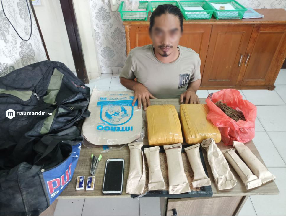 Pengedar Ganja di Siak Tertangkap, Bawa 10 Paket Dalam Kertas Nasi