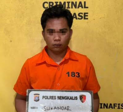 Penipu Modus Parade Bujang Dara di Bengkalis Diringkus