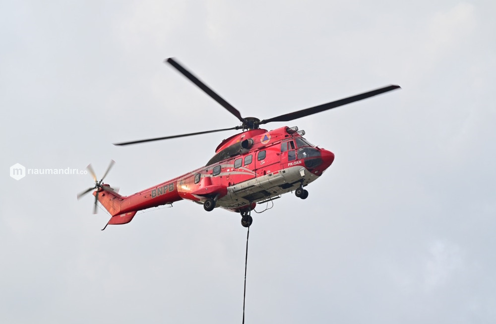 Hingga Awal Agustus 2023, 1.042,53 Hektare Lahan Terbakar di Riau