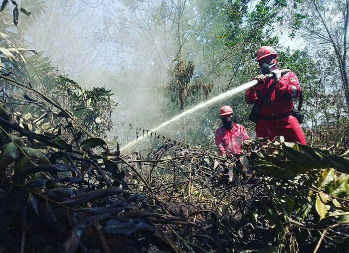 Dirgahayu-18, Patriot Manggala Agni Fokus Antisipasi Bencana Ganda