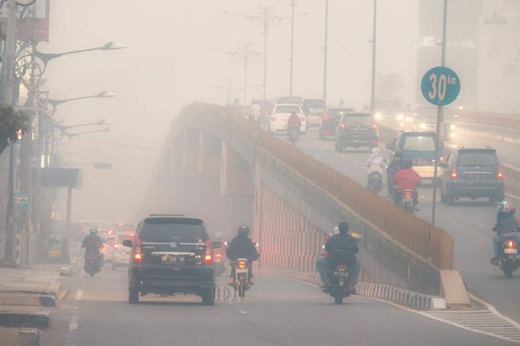 Udara Sudah Level Berbahaya, Pemprov Riau Diminta Liburkan Pegawai Lansia dan Ibu Hamil