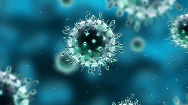 Virus Corona Semakin Menyabar, 19 Orang di Indonesia Positif