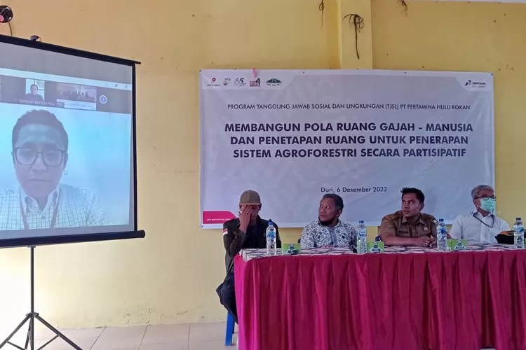 Cegah Konflik Gajah dan Manusia, PHR-RSF Bangun Pola Ruang dan Agroforestri