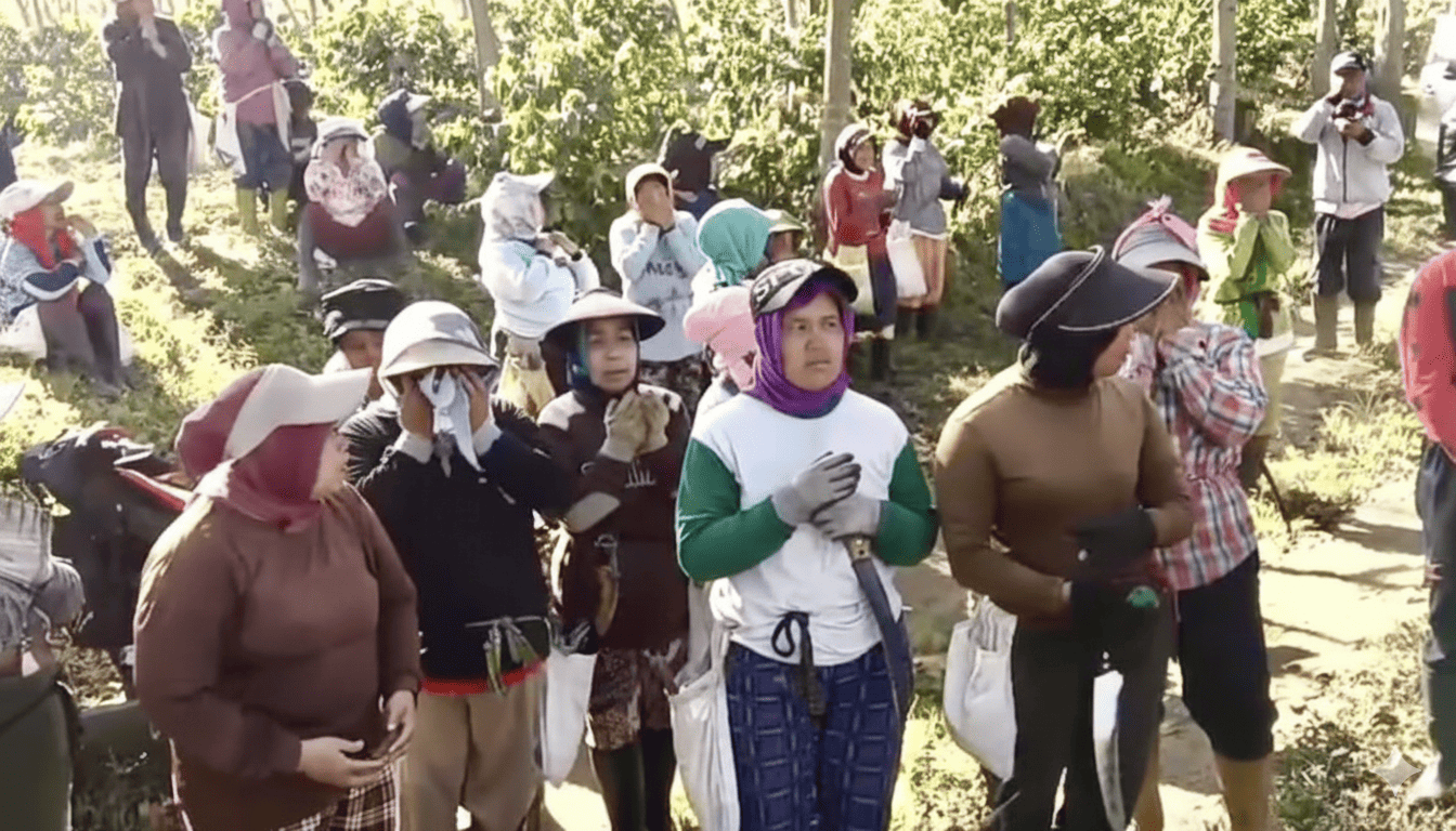 Mata Pencarian Warga Terdampak, DPR Desak Usut Tuntas Perusakan Kebun Kopi JCE di Bondowoso