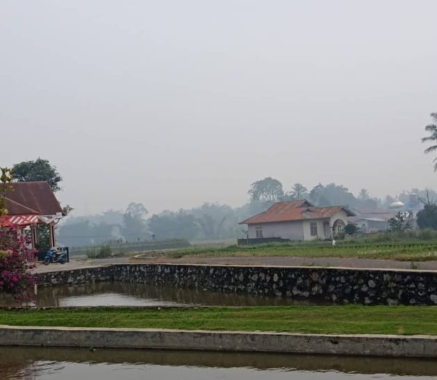 Kualitas Udara Sumatra Barat Capai Level Sangat tidak Sehat