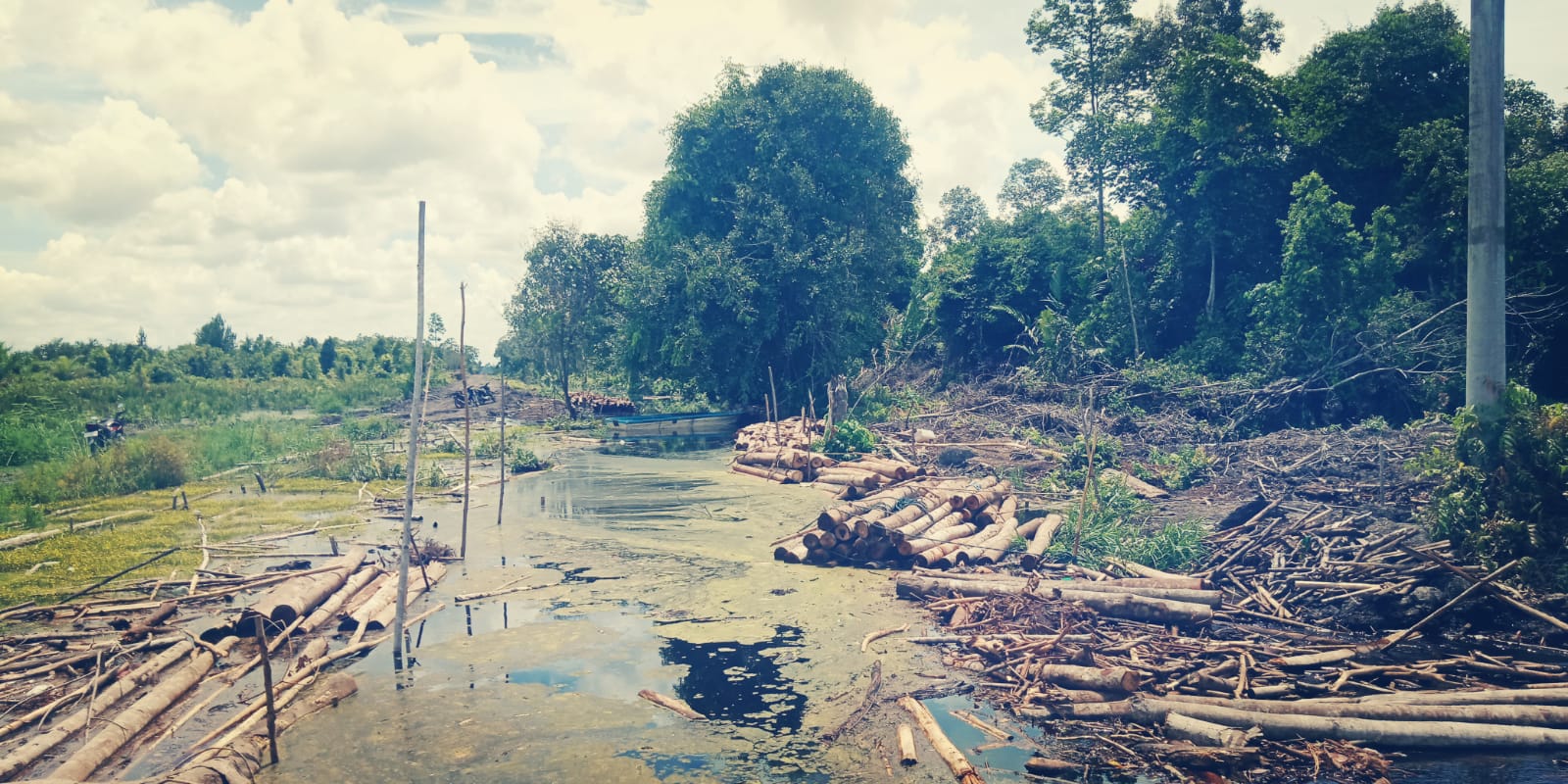 Aktivitas Pengangkut Kayu Tanpa Izin di Siak Masih Ada