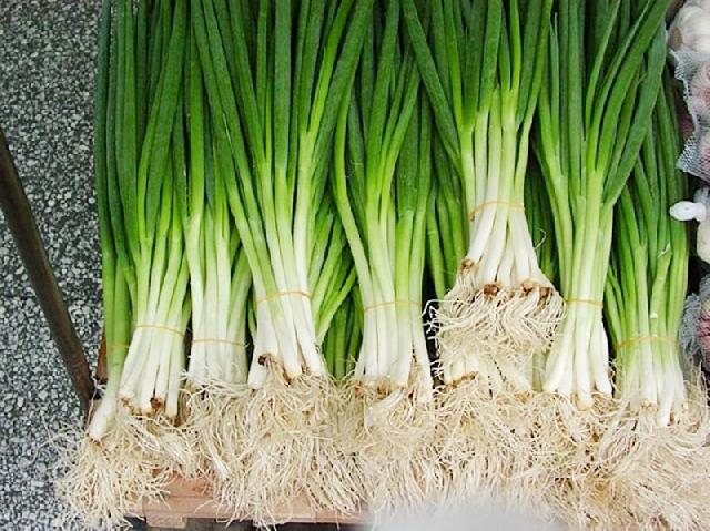 Ketahui 10 Manfaat Kesehatan Dari Daun Bawang